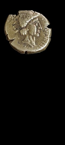 Roman denarius replica gold - denarius,