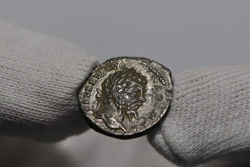 Antico settimo - antico,