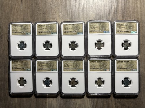 Lotto dieci porcius - lotto, (10)