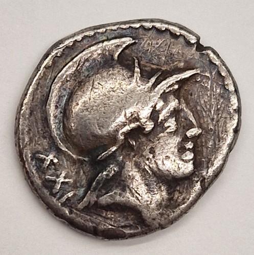 Gens satriena xxi denario - gens, xxi,